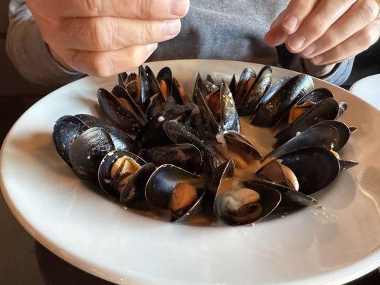 Steamed mussels