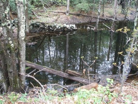 stone wall disappearing into water