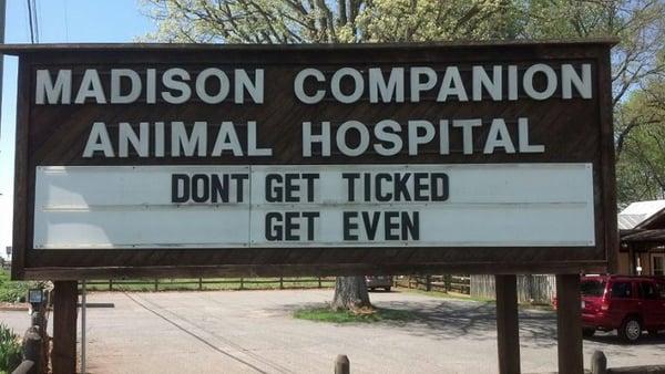 Madison Companion Animal Hospital