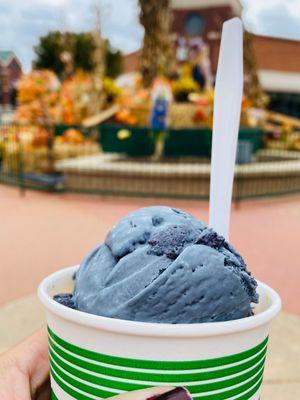 Charcoal mocha Ice cream! Delicious!