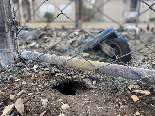 The trash area and a hole where rats live