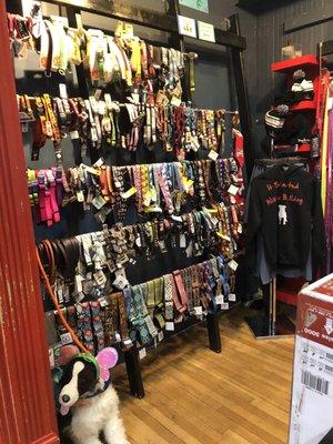 Lots of leashes and collars to pick from. A variety of sizes too. No problem finding one to fit your pet.