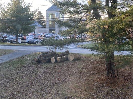 Logs left.  He took his sign off front lawn, I guess he doesn't want the world to know he doesn't finish.