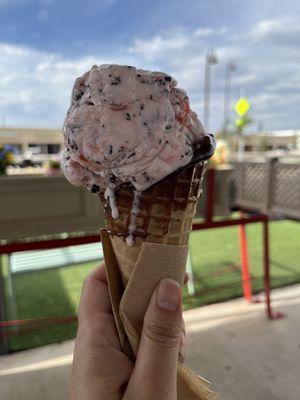 Yum!! Cherry chocolate chip. 1 Scoop Ice Cream in a chocolate dipped waffle cone.