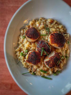 BLACKENED SCALLOPS