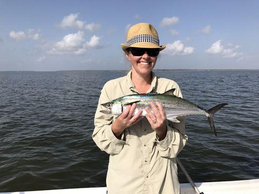 Spanish mackerel