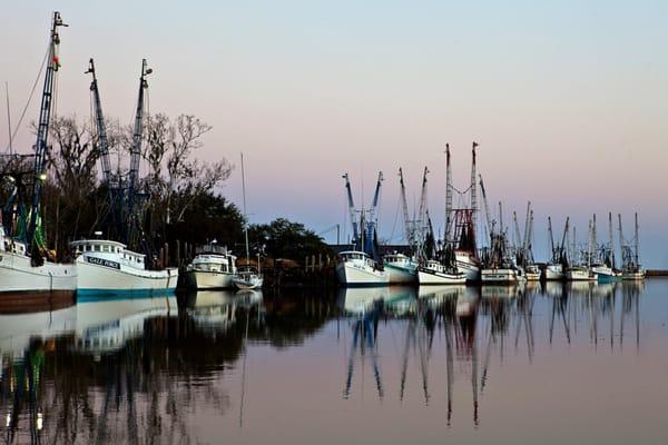 Shrimp Boats at Dock