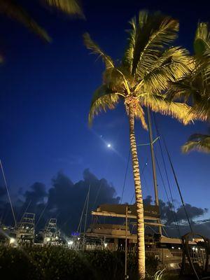 Oceans Edge Resort & Marina Key West