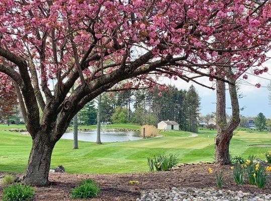 Golf course view in the Spring