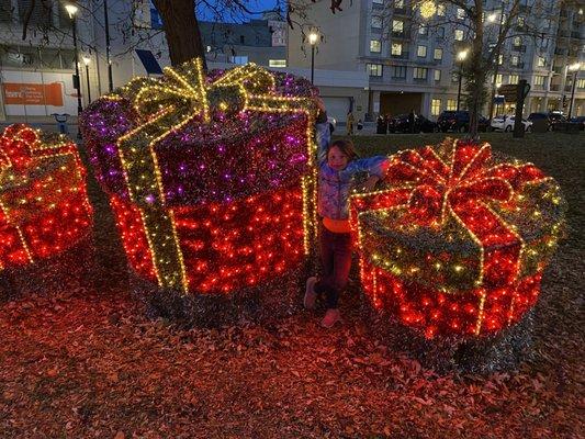 The grandkids & I enjoyed the beautiful lights provided by WE Energy! It was magical!!