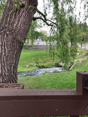 View from the patio