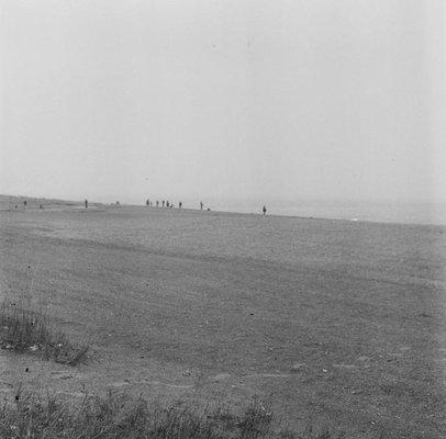 Pennoyer Park, Spring 2016, shot on Ilford HP5+ film, Yashica Mat-124G TLR camera