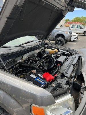 Engine bay detailed