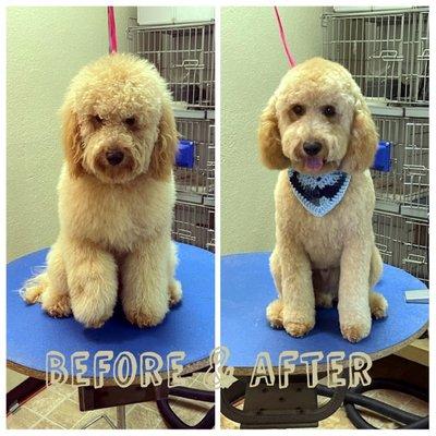 Rogan before and after his haircut.