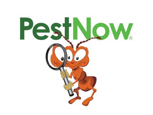 Pest Now of Virginia