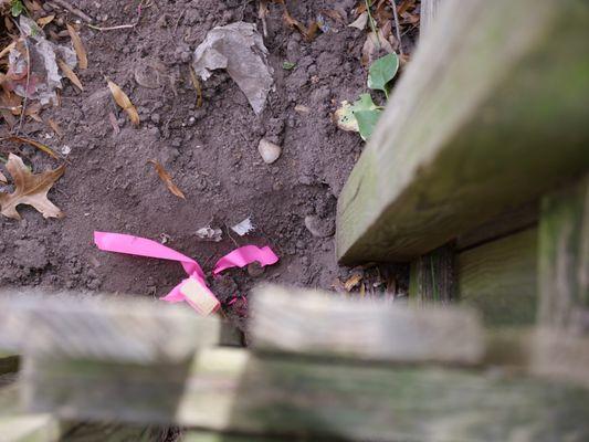 We locate all your property corners. These fences were correctly built along property lines. Many times they are not!