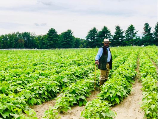 Moer Foundation announces Nubian Square Farmers  Market #nubiansquarefarmersmarket #visitnubiansquare #blackfarmers