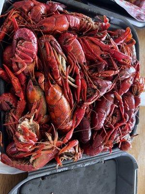 3lbs of boiled crawfish