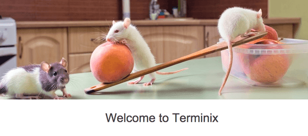 Terminix Pest Control