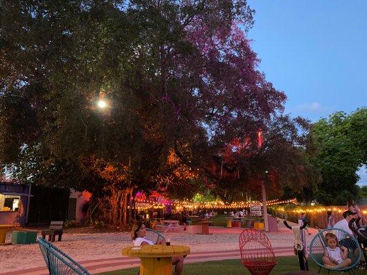 food truck garden night fall approaching