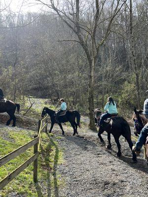 Horseback riding