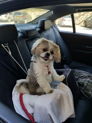 This is Sami climbing out if her carseat she can't wait to get out and play with her friends at KCC!