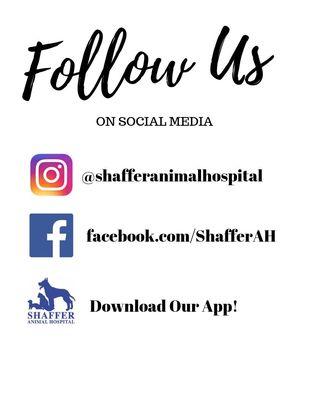 Follow Us!