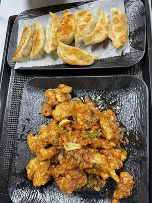 Pan fried dumplings (top) and hot braised chicken (bottom)