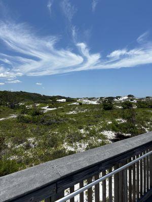 The dunes beside the beach.