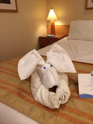 Towel animals on the bed every night