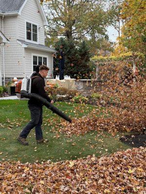 Fall Cleanup