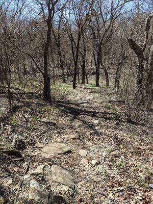 Trail to the gazebo