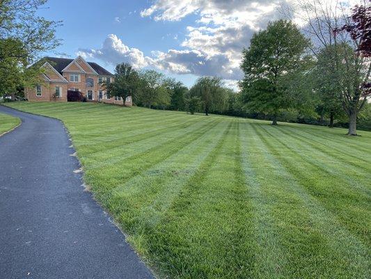 Lawn treated by Hillside