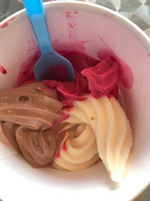 Chocolate, raspberry and passion fruit and guava froyo