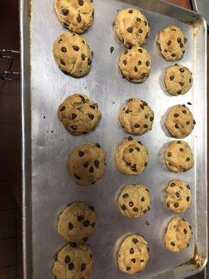 Chocolate Chip Cookies - Baked fresh daily!