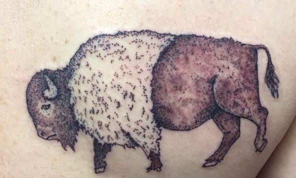 Bison stage one.