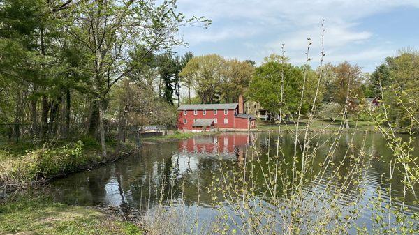 Coopers Pond