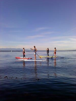 Summer Paddle Boarding at Shilshole