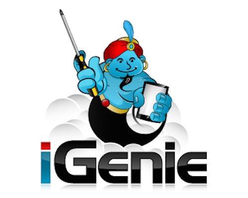 iGenie Repair