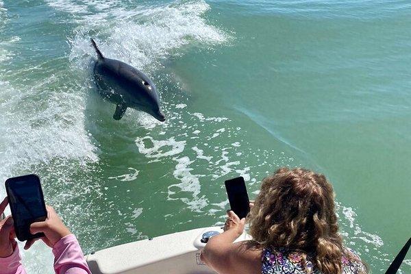 Playful dolphins in our wake!