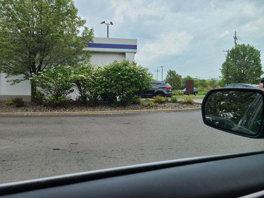 Three lanes through the payment and pass stations into the pre-wash.