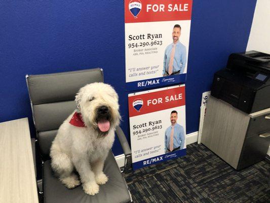 Condos for sale | Riley says "Don't forget to call my daddy if you are thinking about buying or selling! Woof woof."