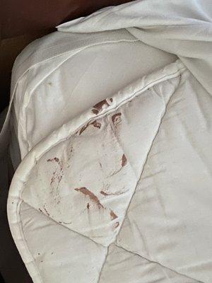 I don't know what this is on the sheets. Blood or makeup... I don't know