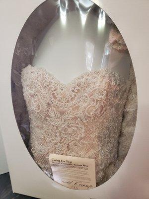 Dress preserved in the display box