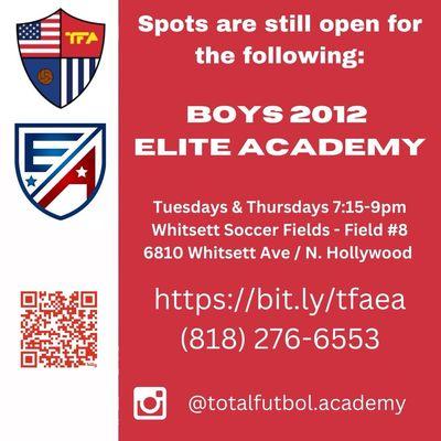 Boys soccer club (TFA) plays in LA area at City/County parks https:/bit.ly/tfaea