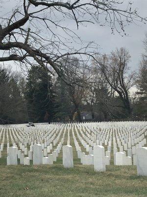 Graves of our fallen heroes