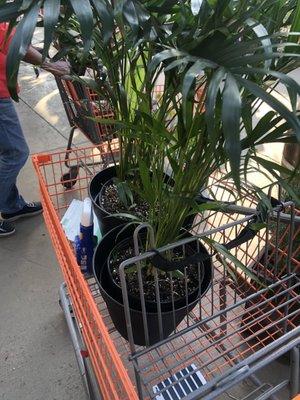 Home Services at the Home Depot