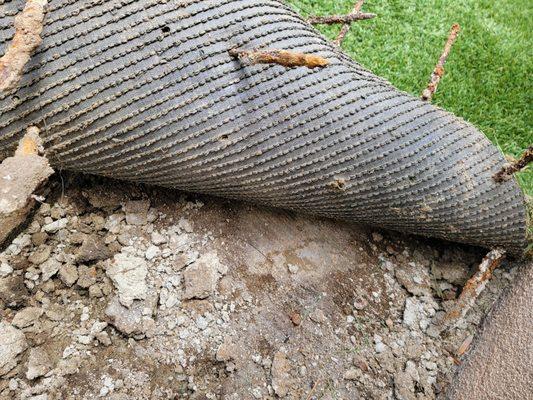 THE WRONG STUFF -- Turf with a solid backing that doesn't allow dog urine to flow thru. Poor underbed of mostly dirt.