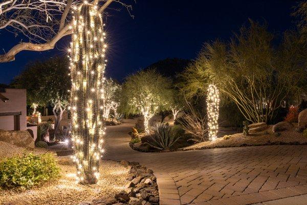 From the ocean to the desert, we light up all types of homes.