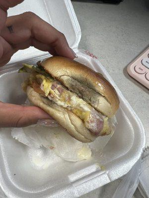 MOLD on Ham, Egg, Sausage, Bacon and Cheese Bagel